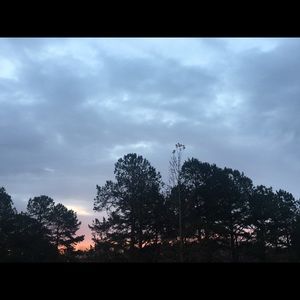 Meet your Posher, Yolanda